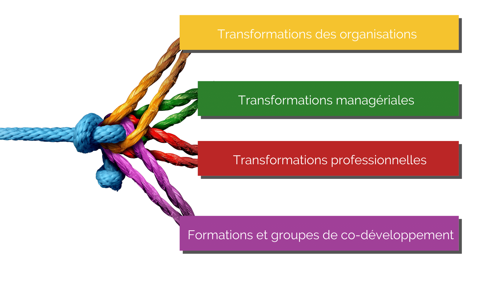 Be Collaborative Carol Picon transformations et formations